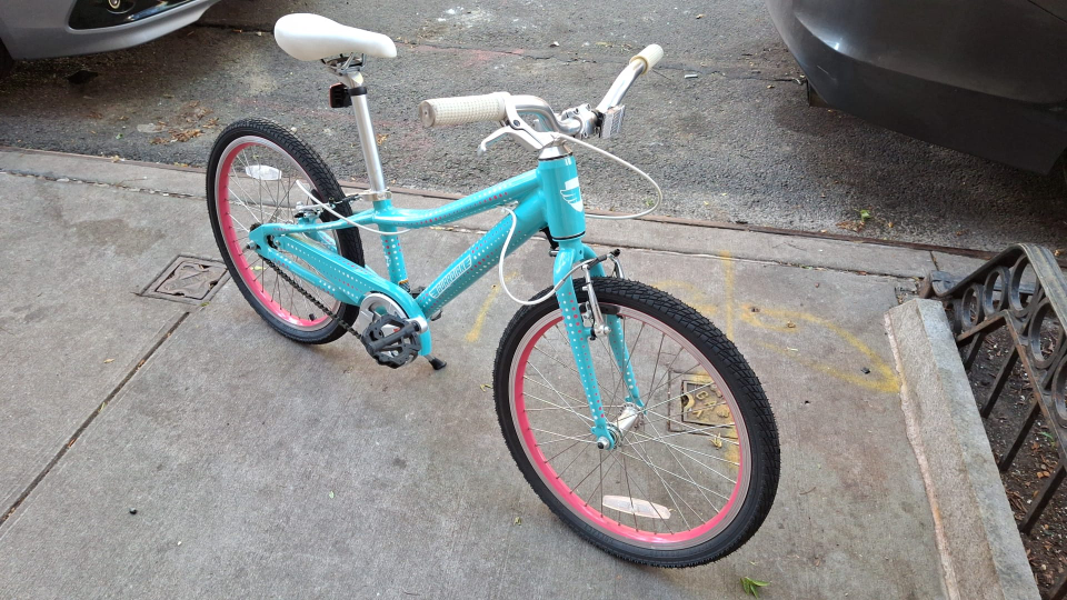 Guardian 20-inch Kids Bike Teal - photo 2