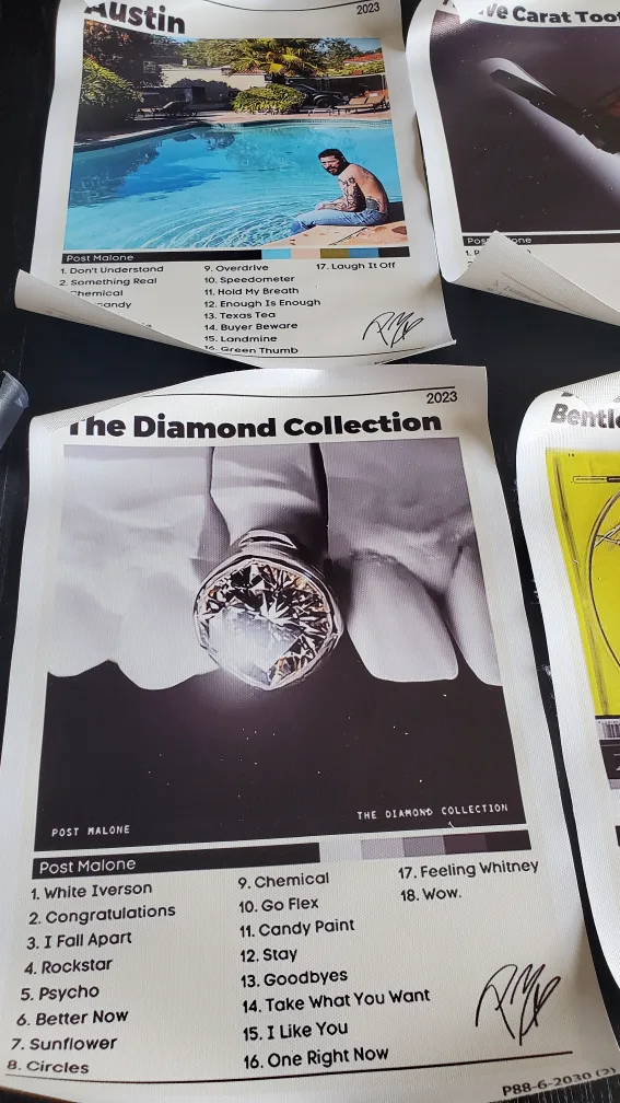 Post Malone Album Canvas Posters image indicator(3)