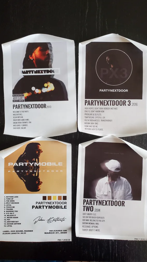 PARTYNEXTDOOR Canvas Posters image indicator(2)