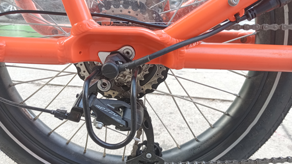 Radwagon 4 -The Ultimate Cargo Hauler Electric Bike - photo 2