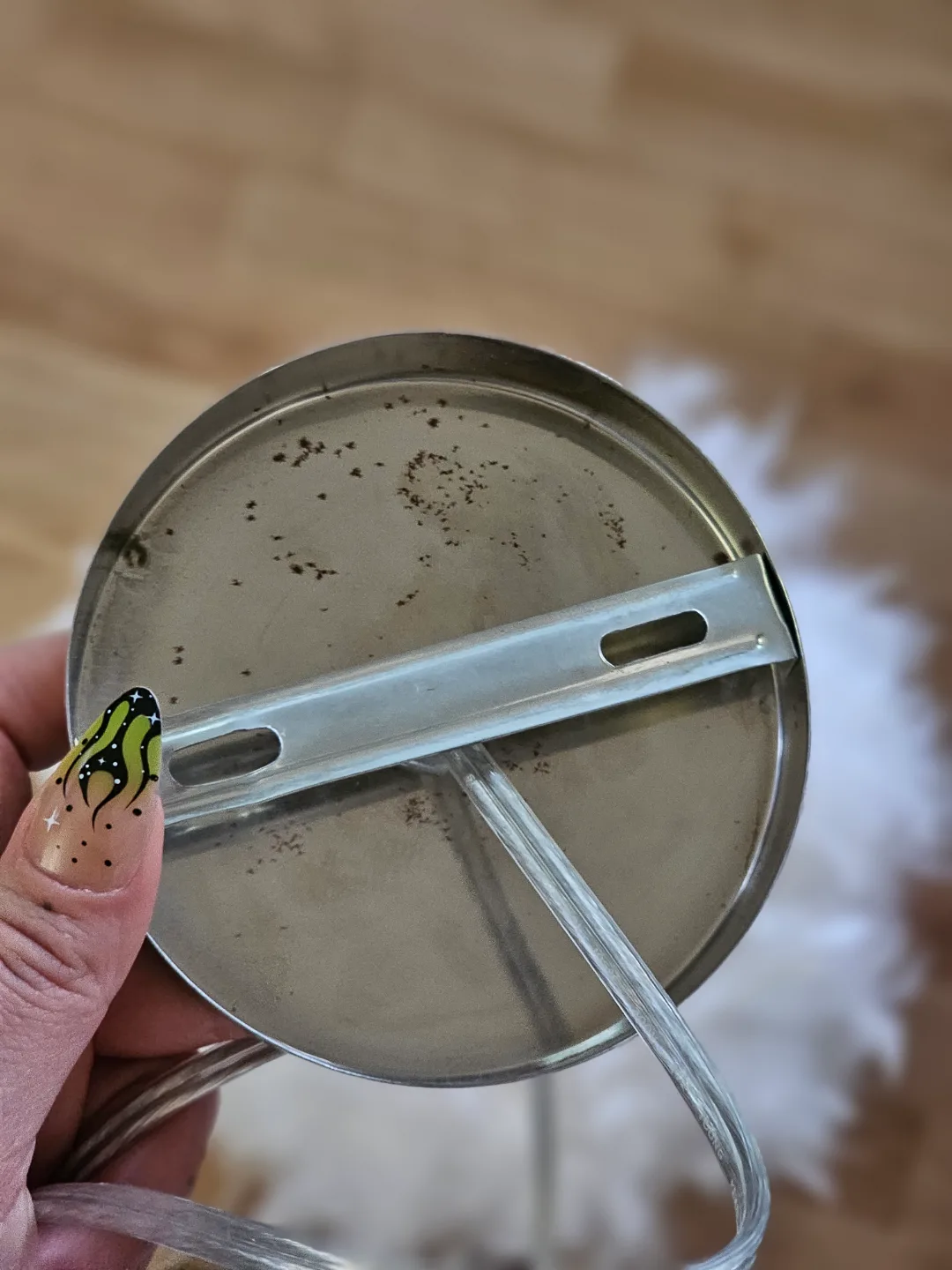 4x Feather Pendant Light image indicator(4)