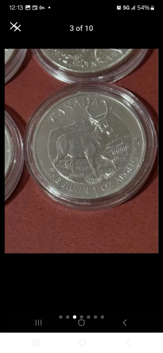 6x 1 oz Canadian Silver Coins Wildlife Maple Series .9999 image indicator(3)