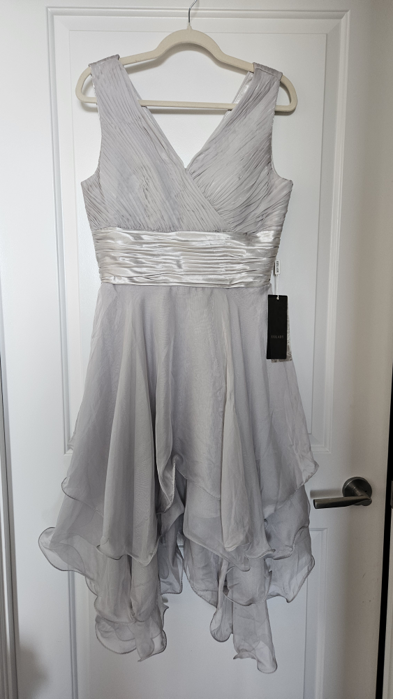NEGOTIABLE - New IZILADY Formal, Wedding, Prom Dress - Size 10