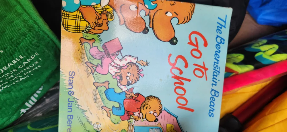 The Berenstain Bears Go to School Book freecycle 🏆 thumbnail