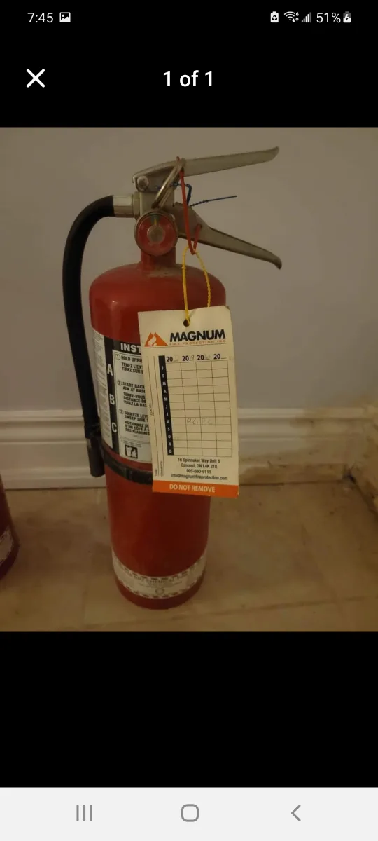 2 for $30 Large Magnum Fire Extinguisher thumbnail