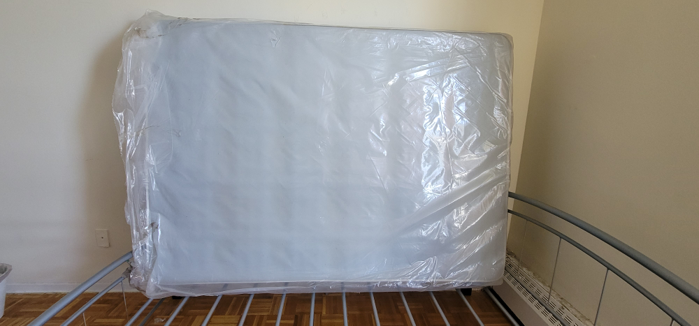 Metal Bed Frame (Box and mattress included) - photo 3