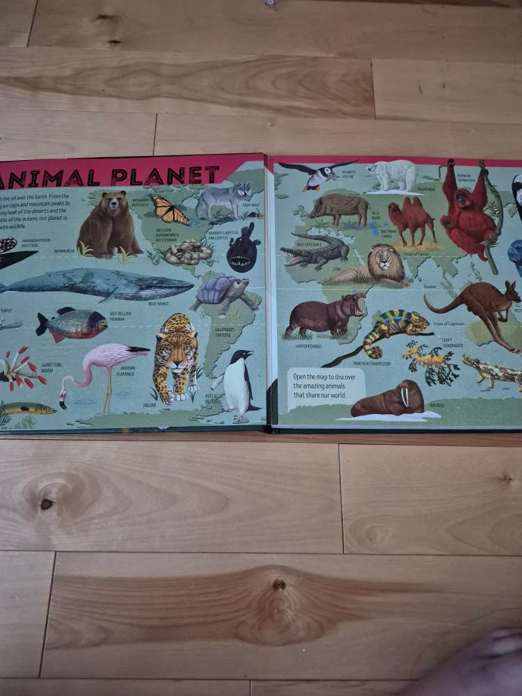 Lonely Planet Kids Animal Atlas image indicator(3)