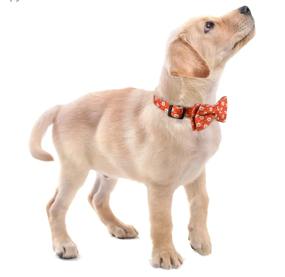 Christmas-themed Dog Collar & Bow Tie Set - Size L image indicator(2)
