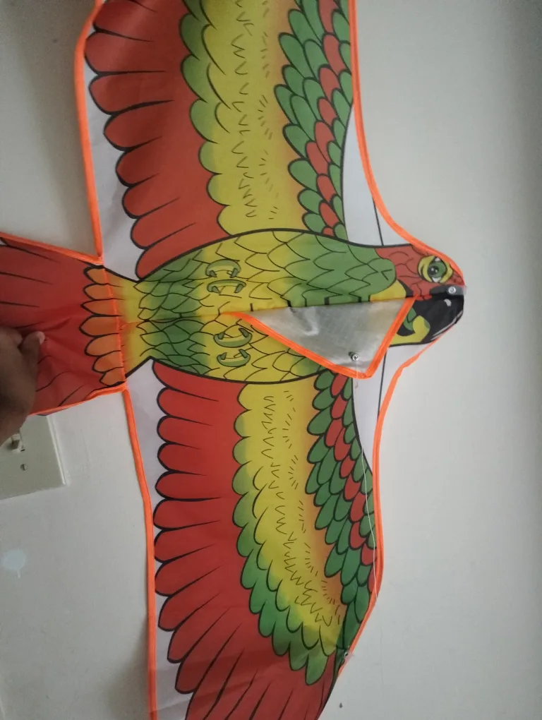 Parrot Kite - Fun Outdoor Toy image indicator(3)