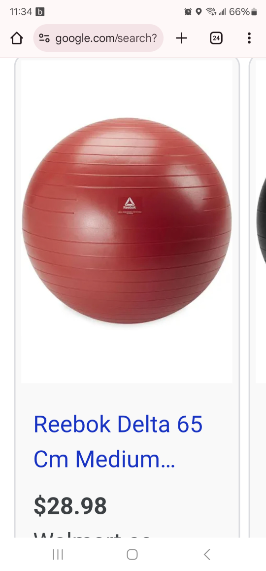 Reebok Delta 65 cm Exercise Ball