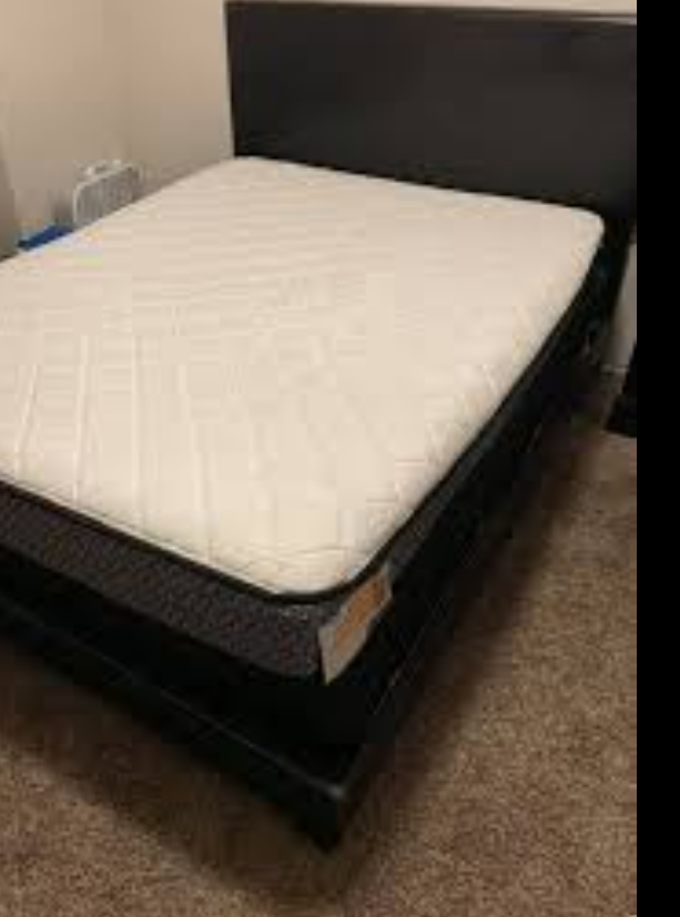 Queen Mattress only