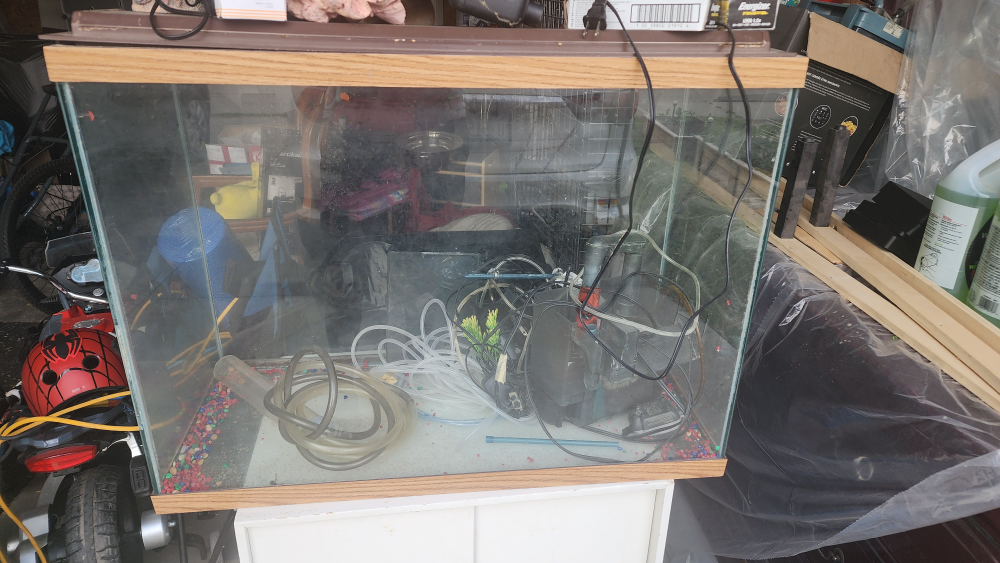 Large Fish Tank
