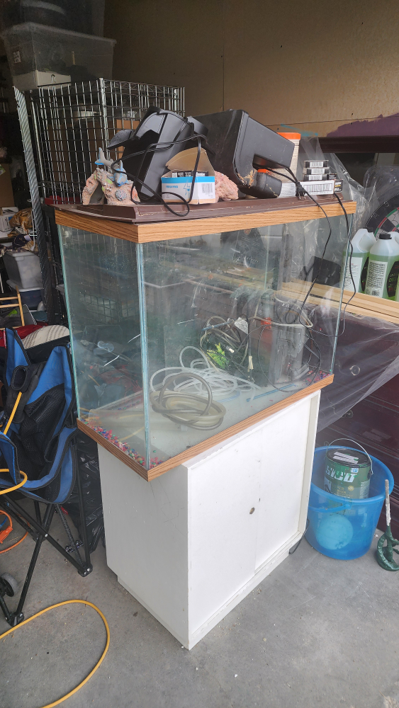 Large Fish Tank - photo 2