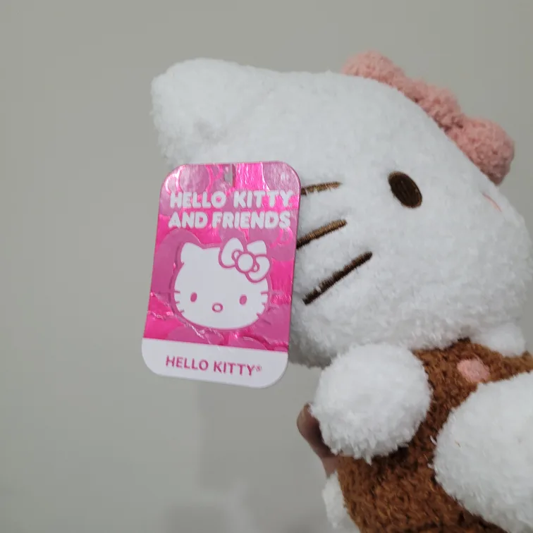 Brand New Sanrio Hello Kitty Plushies Toy Doll image indicator(5)