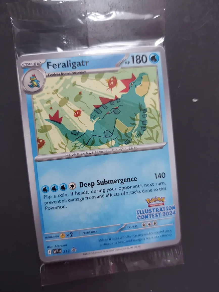 Pokemon Illustration Contest 2024 Cards