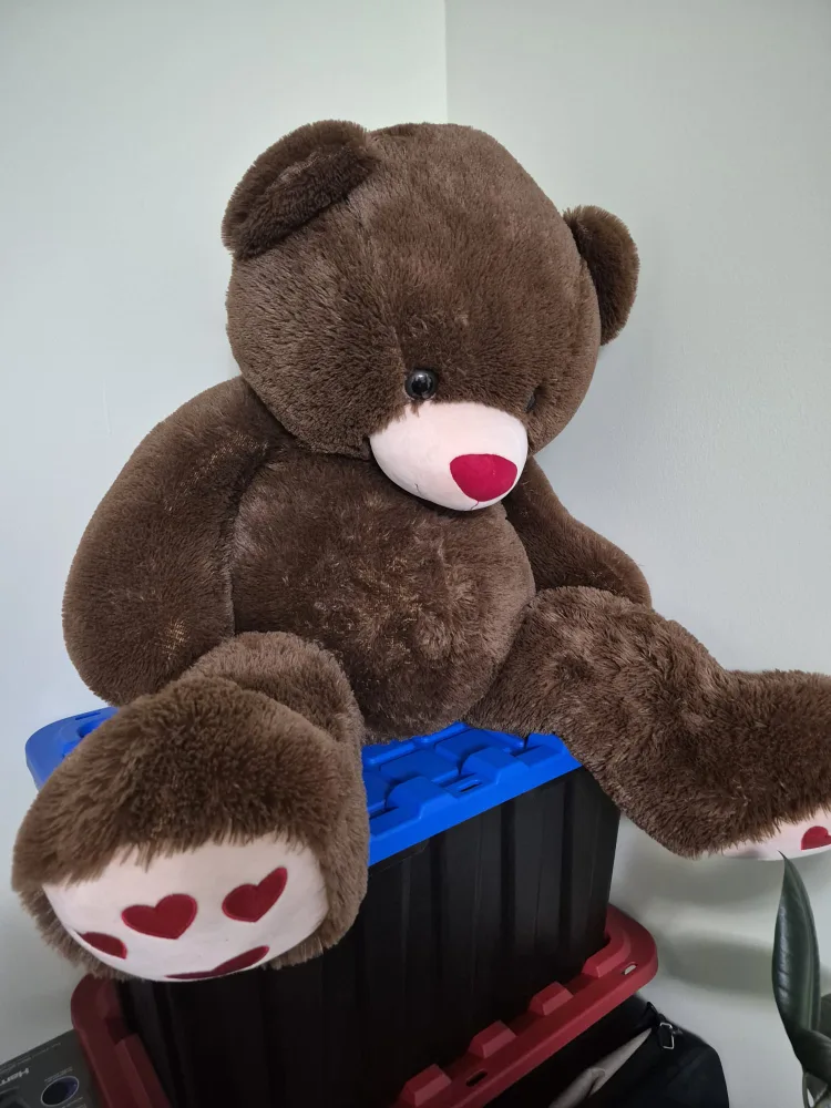 Large Brown Teddy Bear image indicator(4)