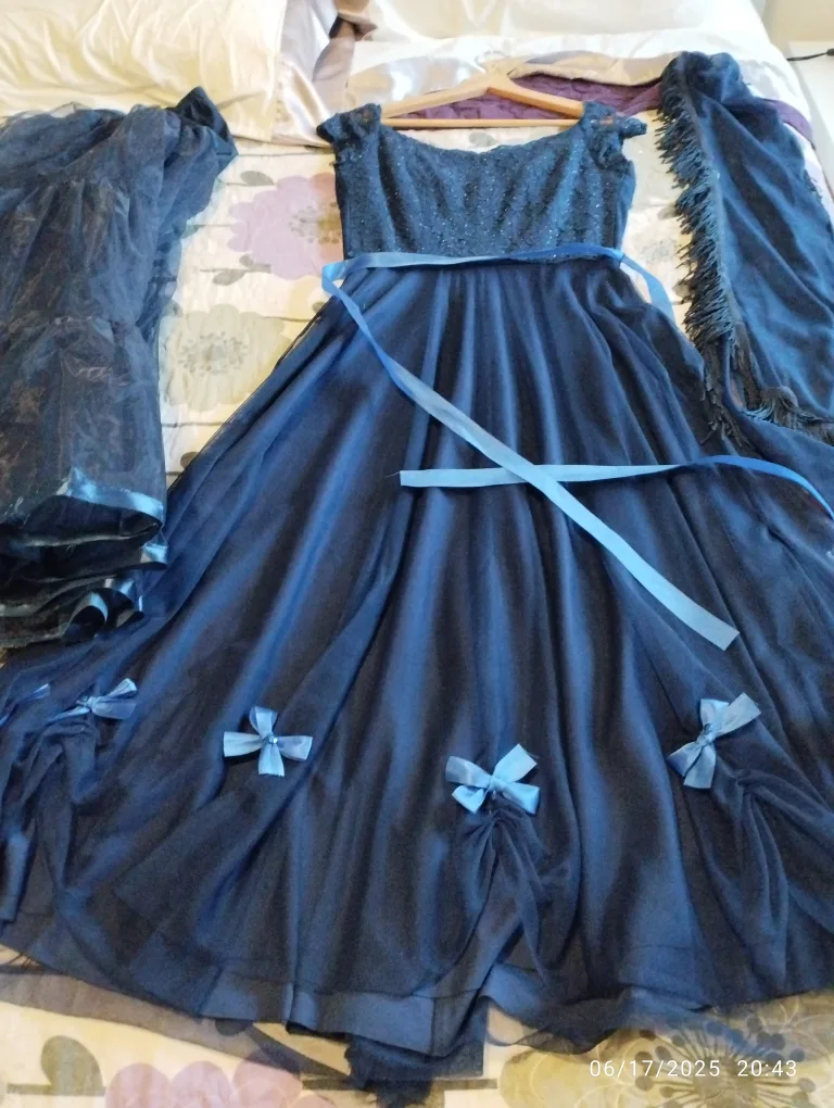 Elegant navy gown thumbnail