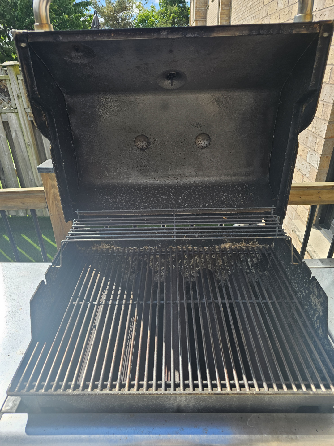 Webber Genesis BBQ - photo 5