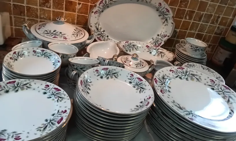 Stunning Set of China for 12 Persons image indicator(4)