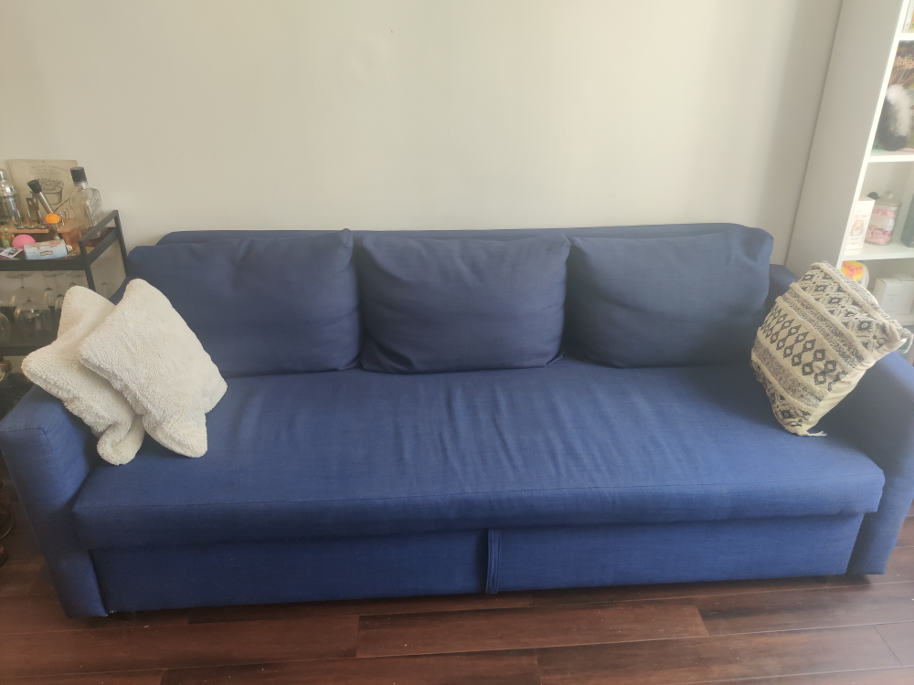 IKEA FRIHETEN Blue Sleeper Sofa