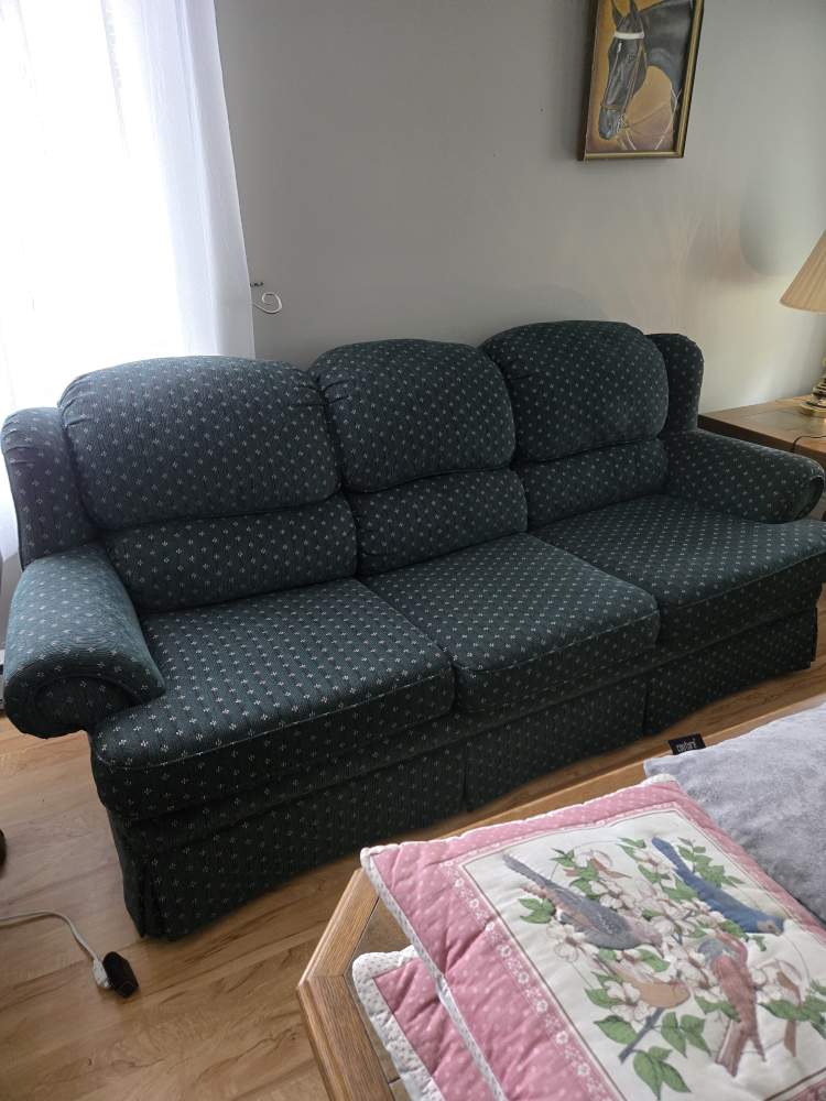 Matching Sofa and Loveseat