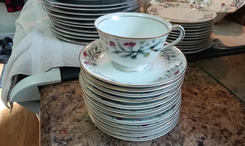 Stunning Set of China for 12 Persons image indicator(2)