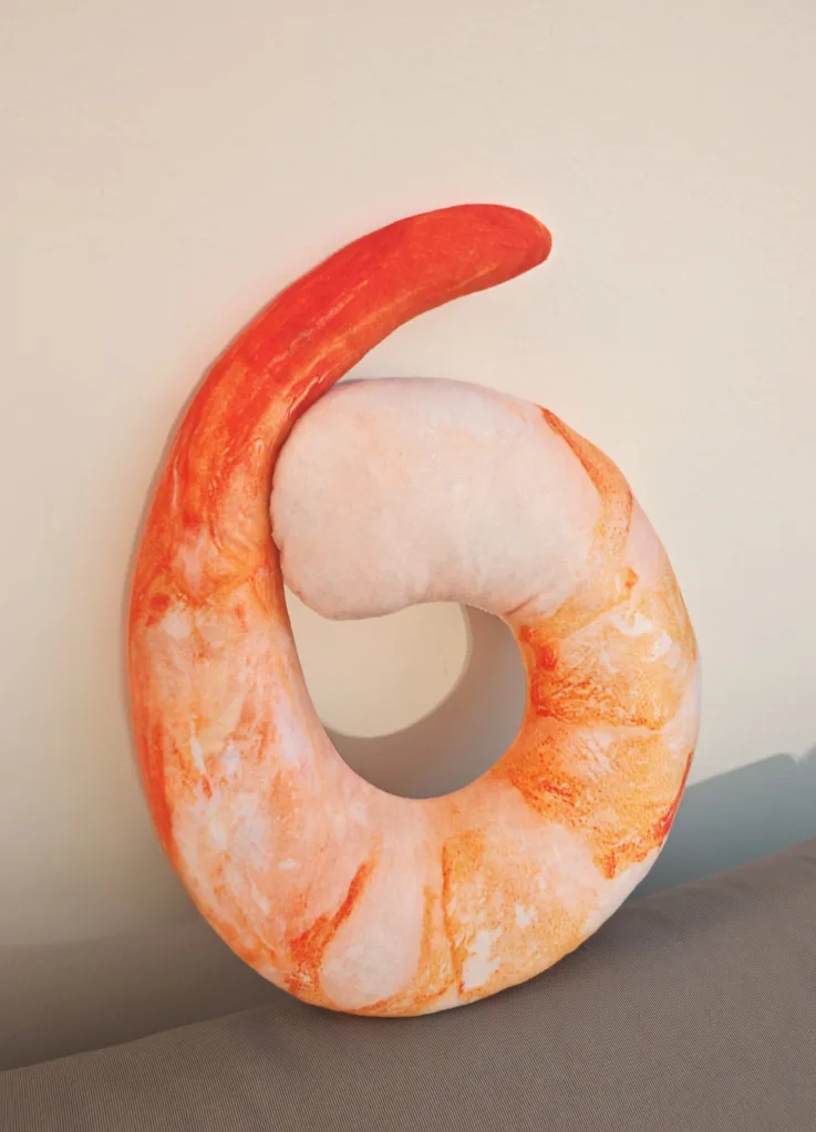 Cozy Plush Toys - Duck, Shrimp, and Seal thumbnail