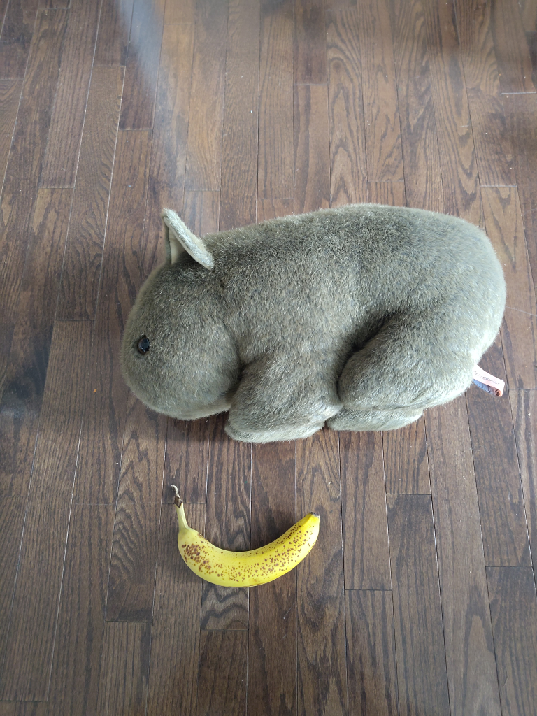 Life sized Stuffed Wombat - photo 4