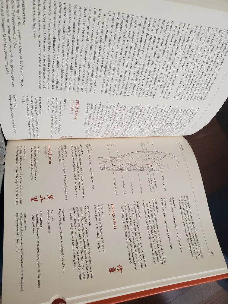 Manual of Acupuncture Book by Peter Deadman image indicator(6)