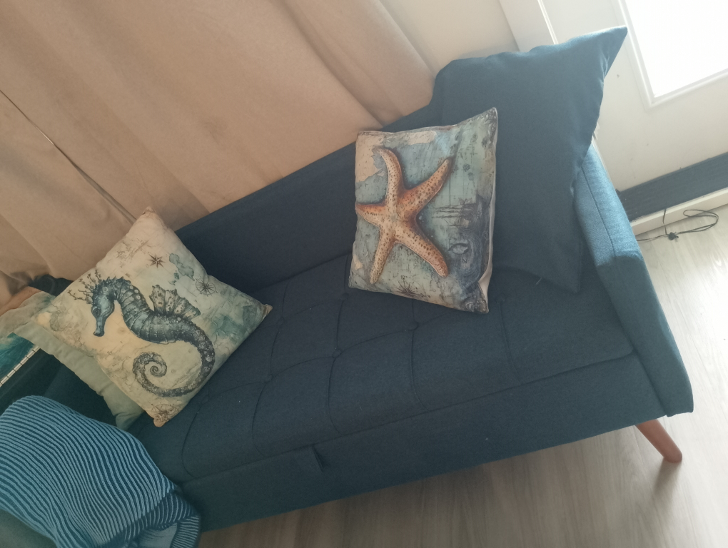 Blue Couch with Pillows
