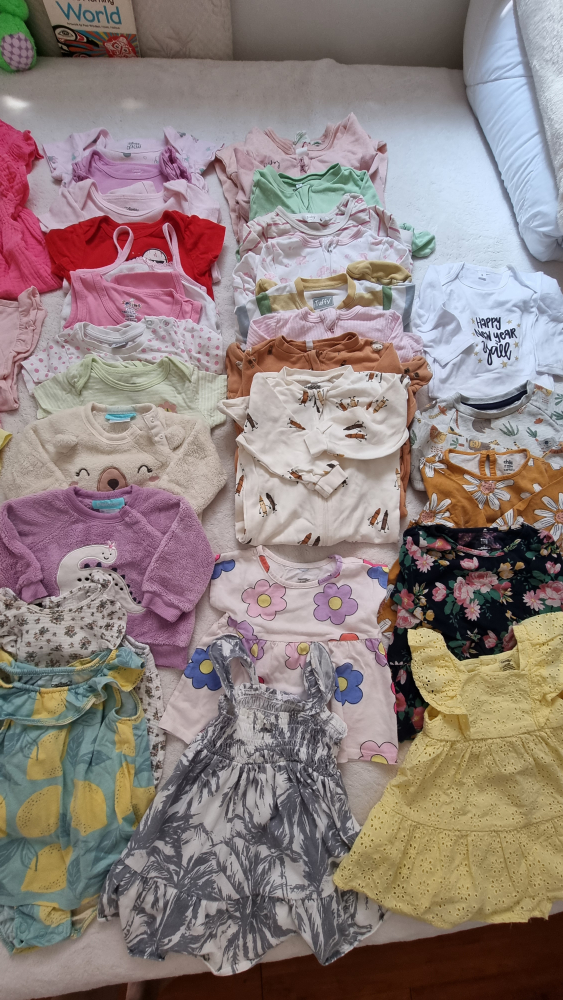 Baby Girl Clothing Bundle - photo 2