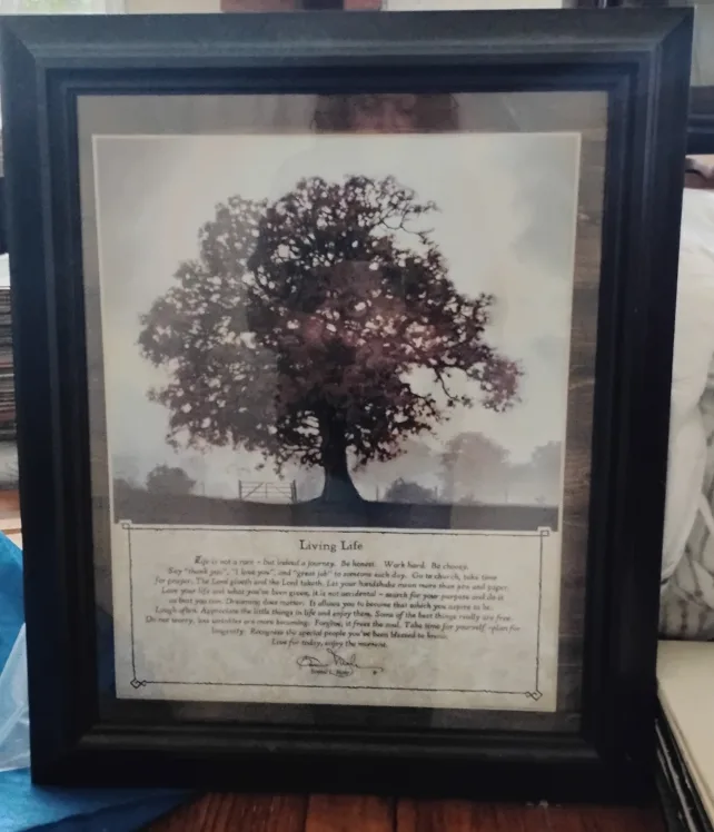 Living Life , Matted and Framed  Print by Bonnie L. Mohr thumbnail