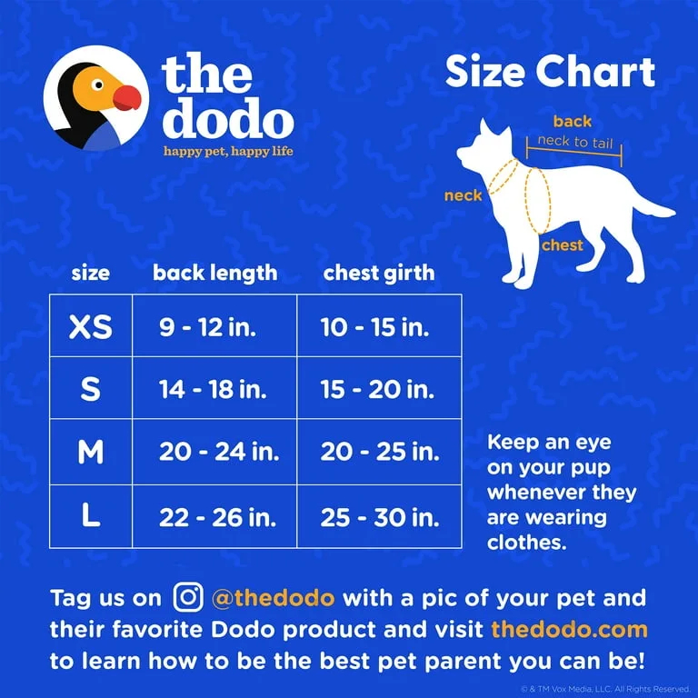 The Dodo Colorblock T-Shirt & Bandana Set - Size L image indicator(3)