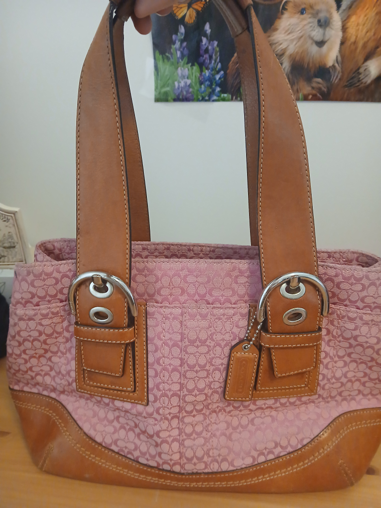 Beautifull Womens Purse #freecycle