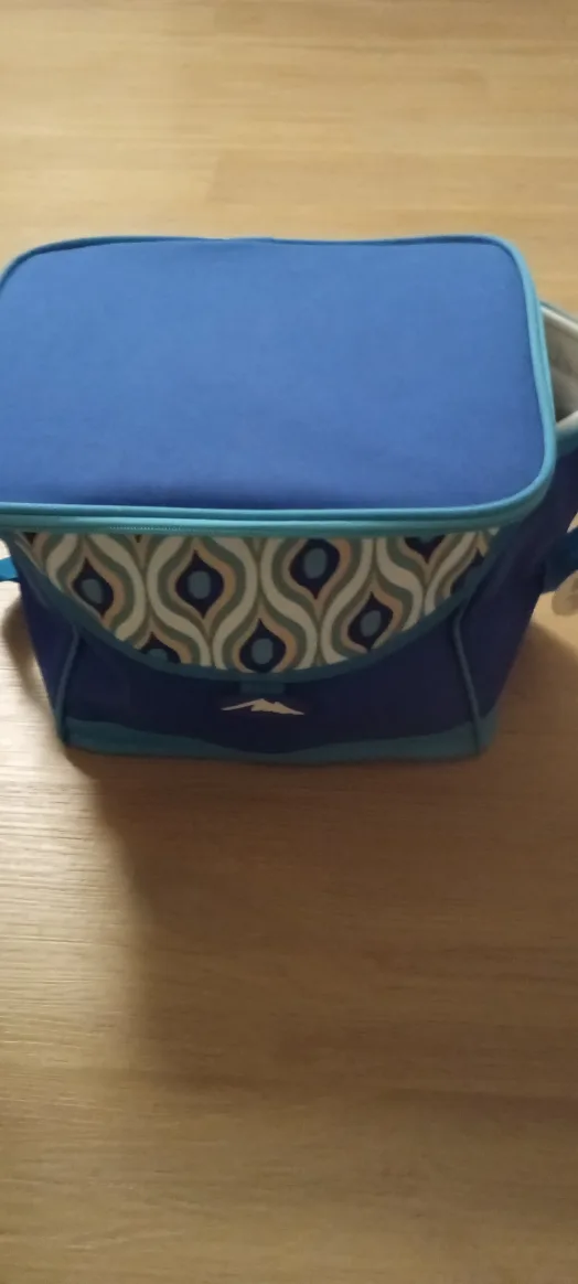 Branch  New High Sierra Blue Lunch Bag $15. W8, L11, H10. thumbnail