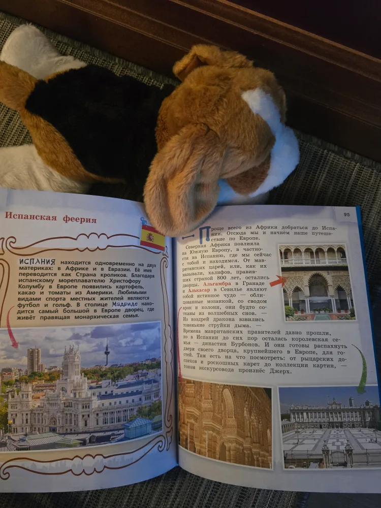 RUSSIAN Children's Book and Stuffed Dog image indicator(2)