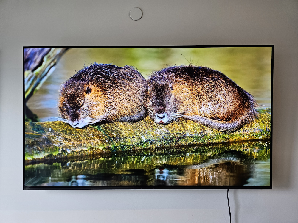 Sony 65 inch A80L BRAVIA XR OLED 4K Ultra HD TV
