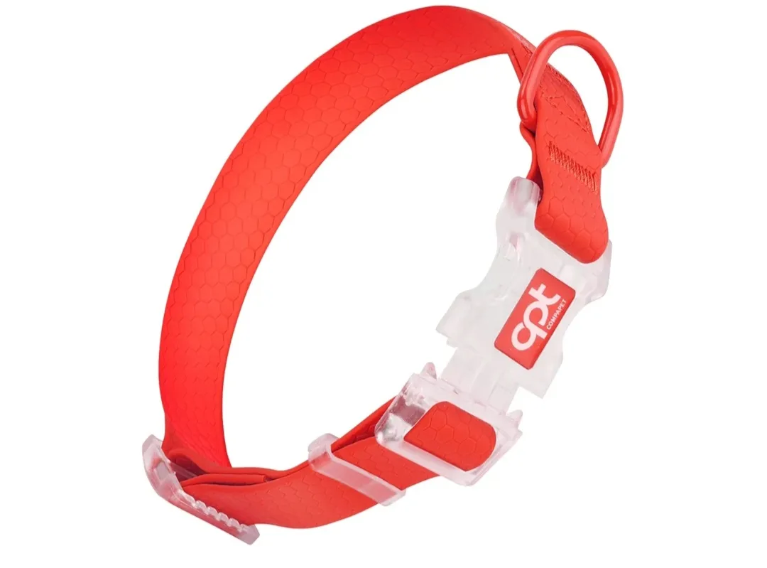 Dog Collar - Size M image indicator(2)