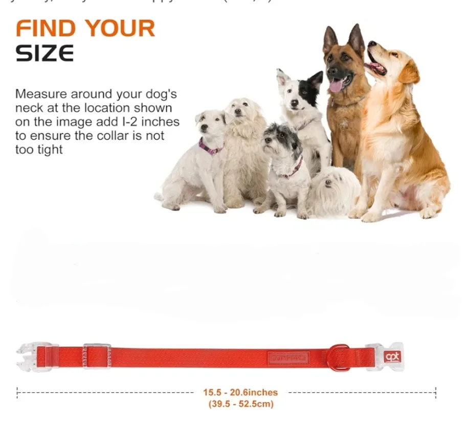 Dog Collar - Size M image indicator(7)