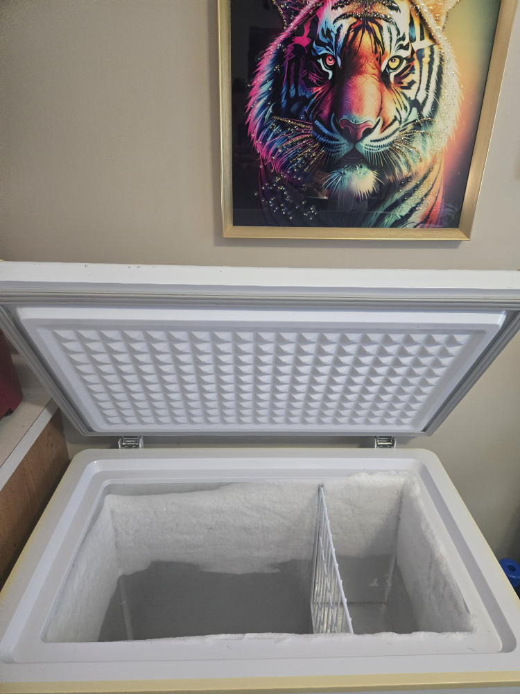 Danby Chest Freezer - White - photo 3