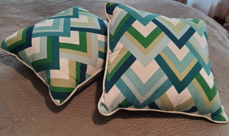 Two Outdoor Cushions