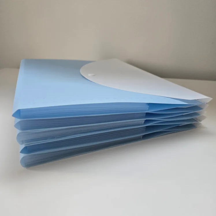 Expanding file folder (Letter/A4 Size), set of 5 image indicator(2)