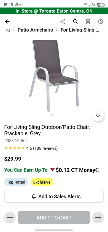 ‼️Moving Sale‼️For Living Patio Chair, 2x - photo 2