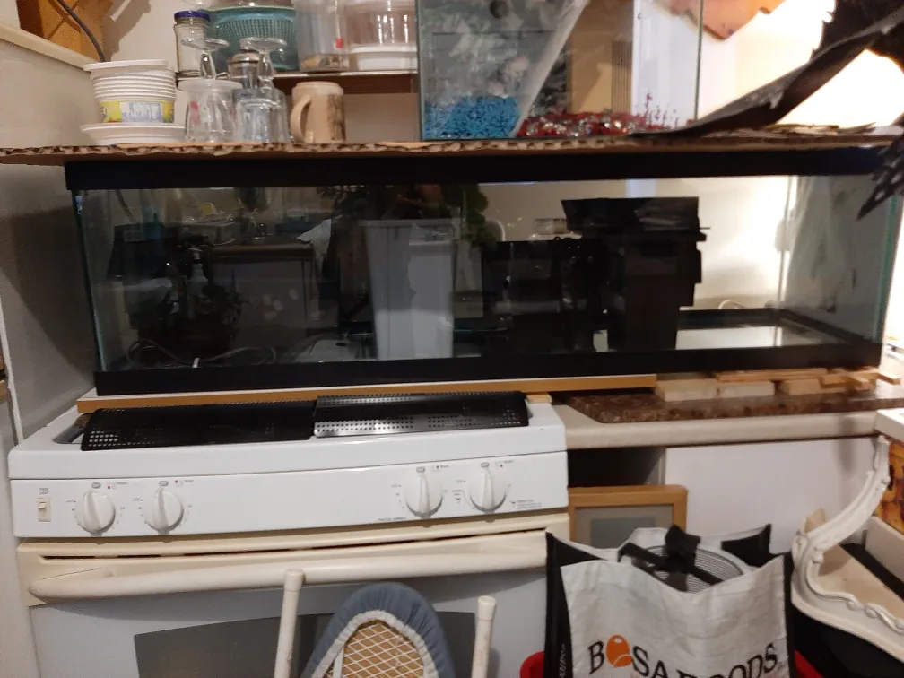 Aquarium setup image indicator(2)