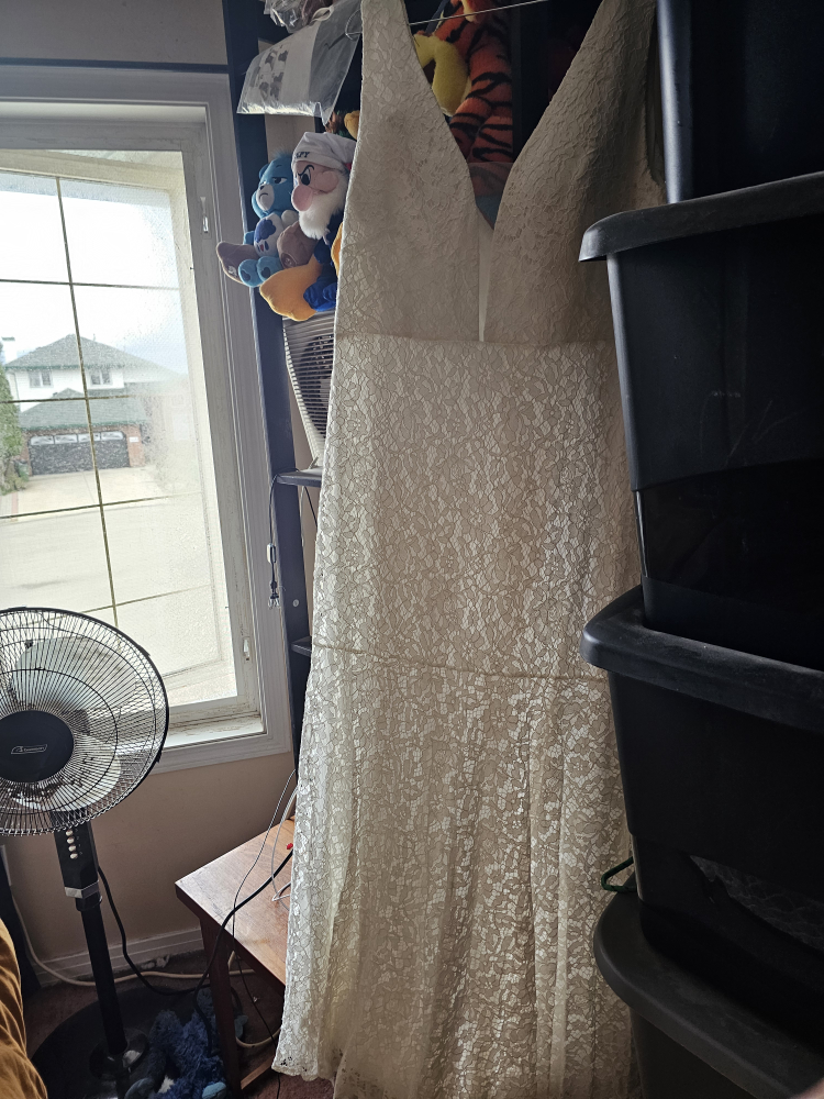 lace plus size dress