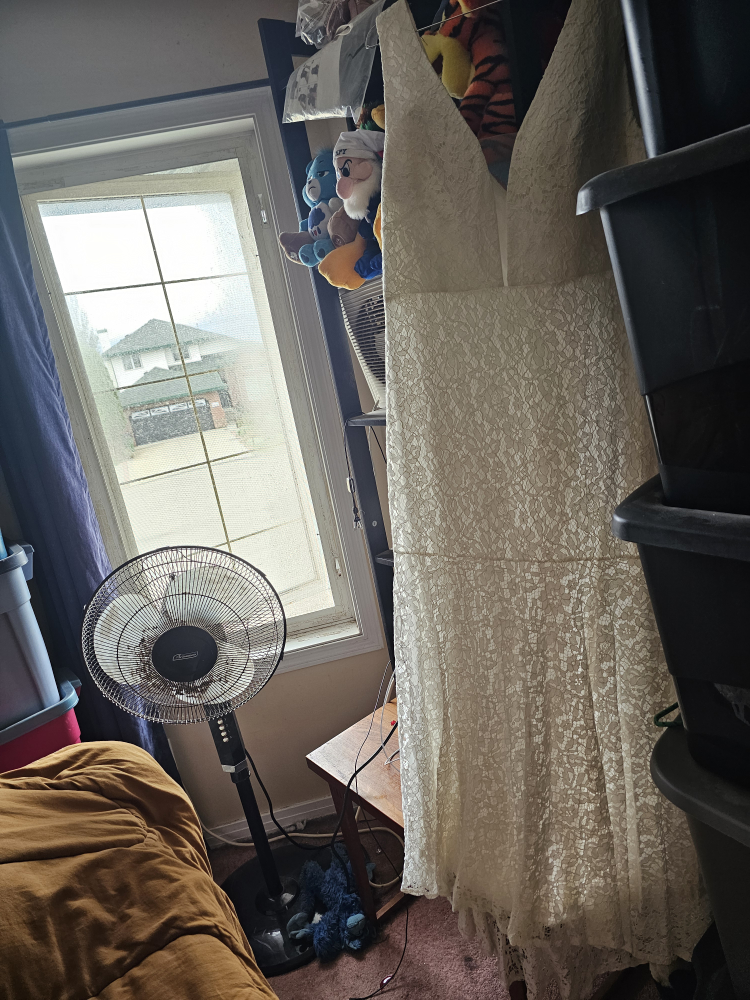 lace plus size dress - photo 2