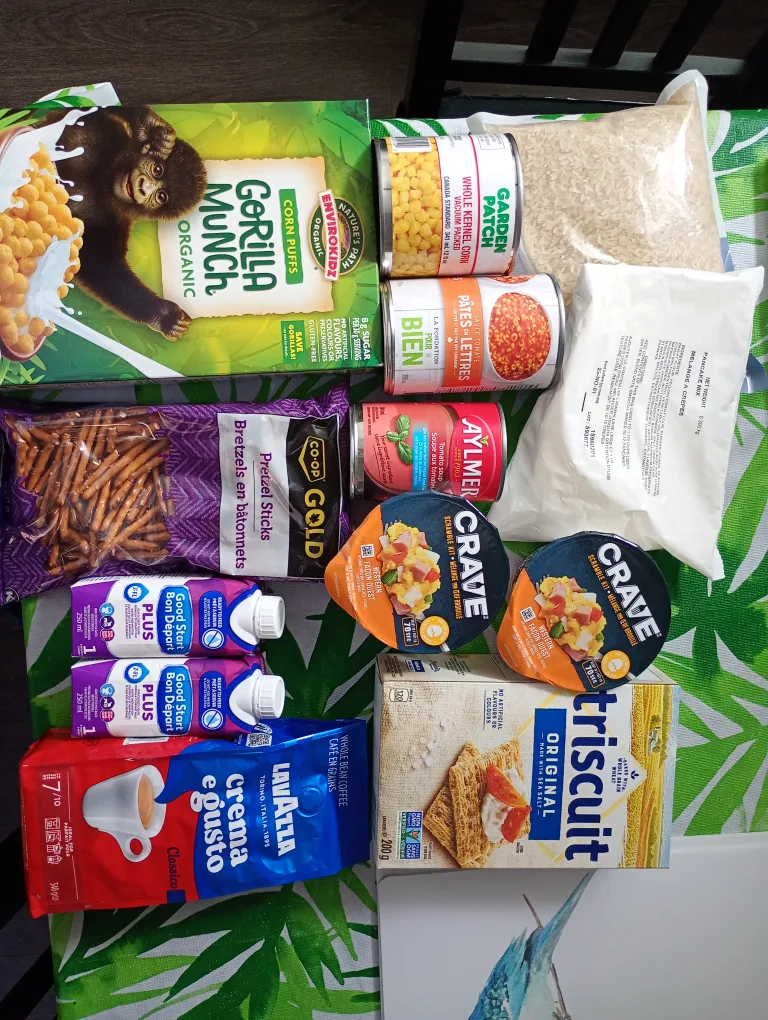Grocery Bag #frecycle thumbnail