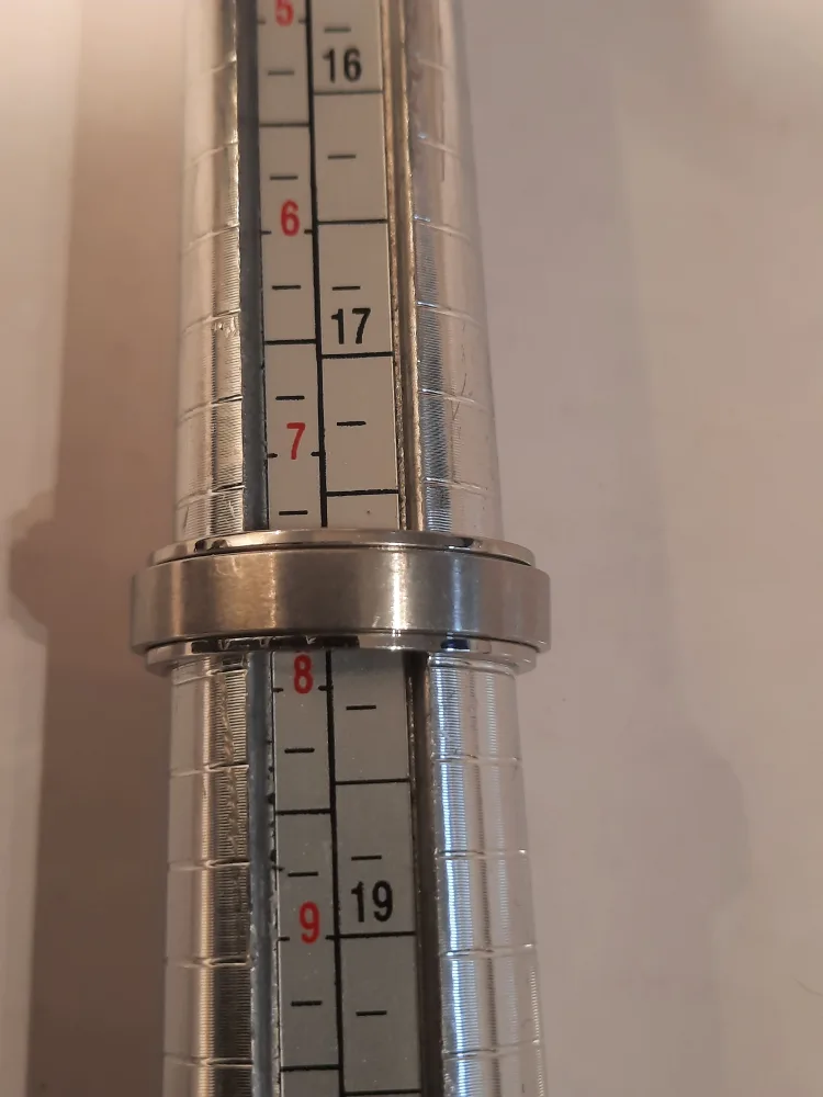 Pair of Rings stainless steal image indicator(4)