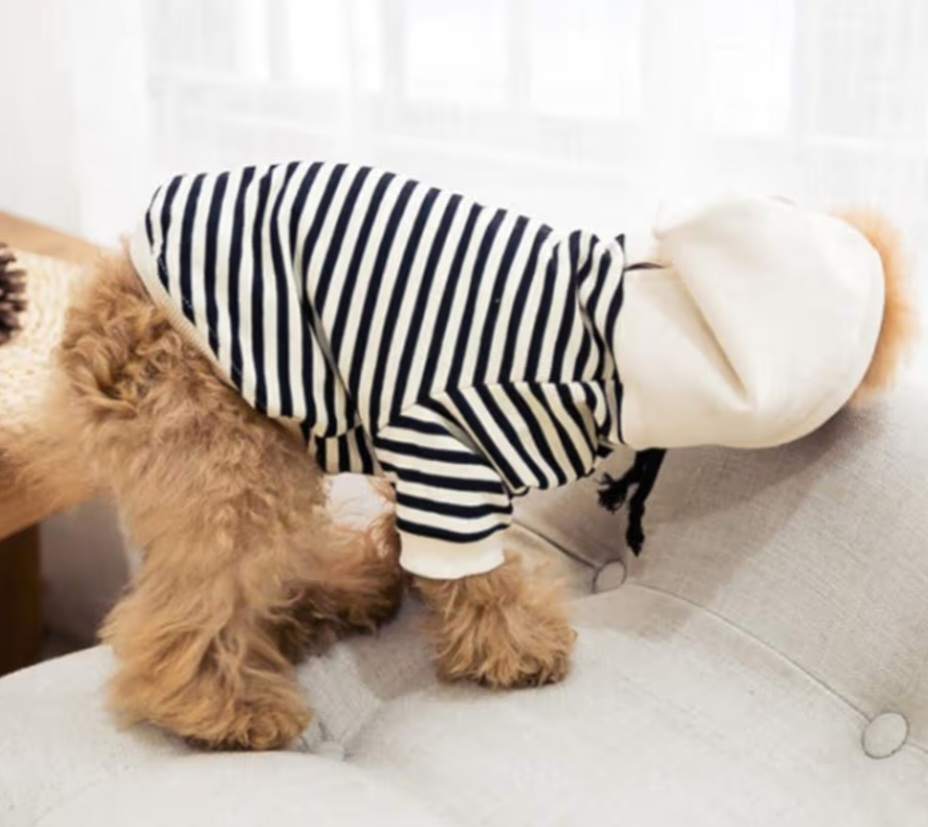 Adorable Dog Hoodie, Striped, Size XS - photo 4