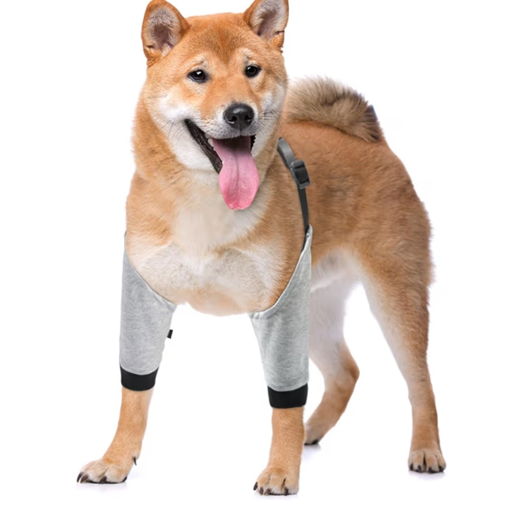 Dog Knee Pads Pet Dog - photo 5